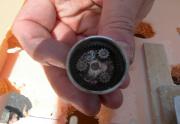 Photo_6