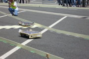 P1000162t.JPG