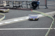 P1000164t.JPG